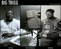 project-kb-2006-bigtrigg